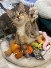 Helen Waving