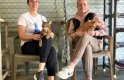 Help Blind Cats See a Future!