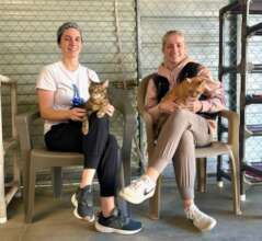Help Blind Cats See a Future!