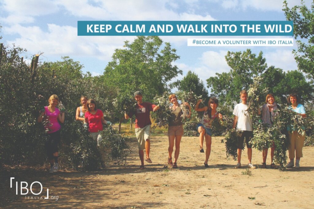 Summer solidarity trips for young people