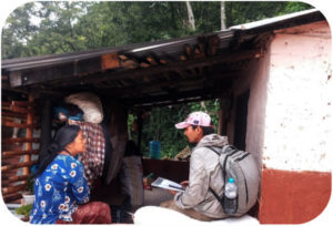 Data collection during survey