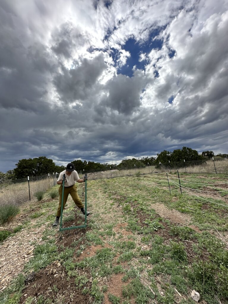 Feeding Community Facing Food Insecurity Globalgiving