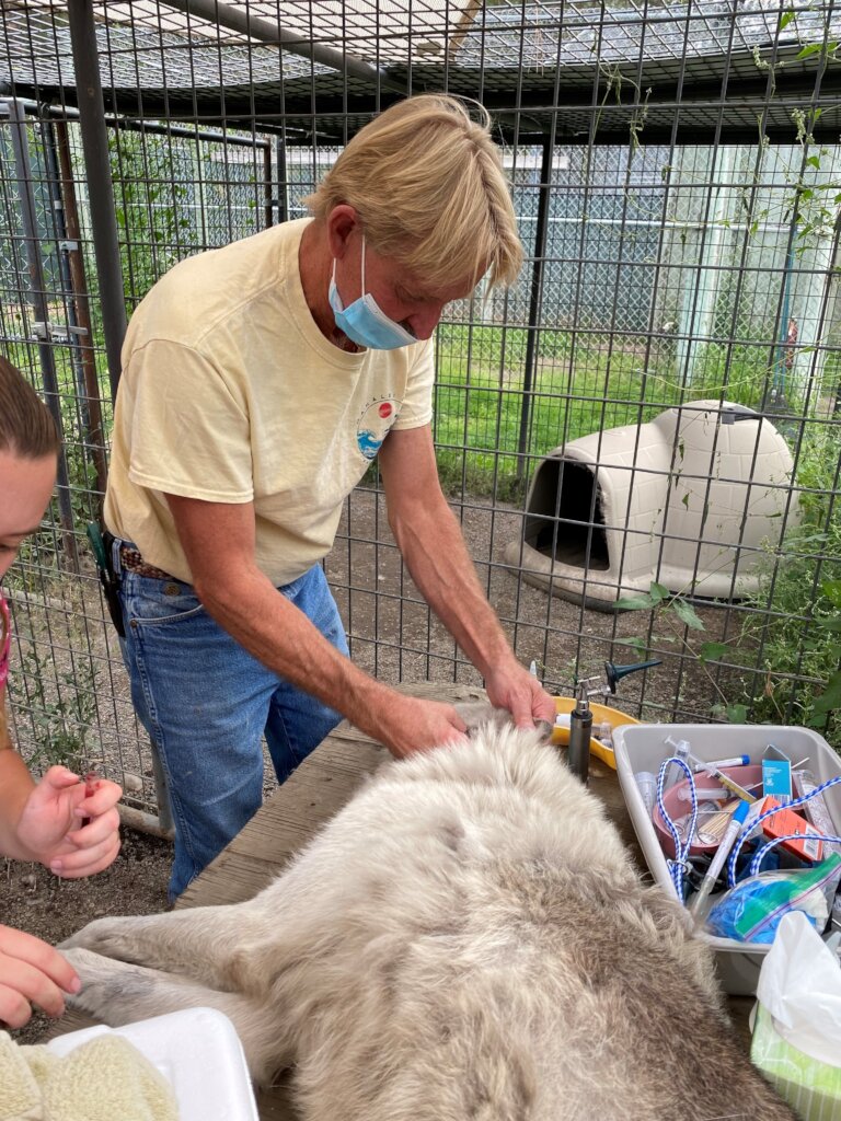 Strengthening Wildlife Veterinary Care