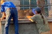 Strengthening Wildlife Veterinary Care