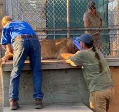 Strengthening Wildlife Veterinary Care