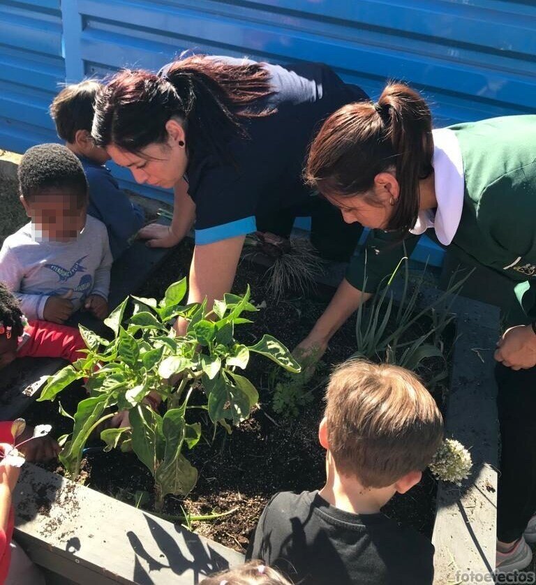 Sustainable education for childrens