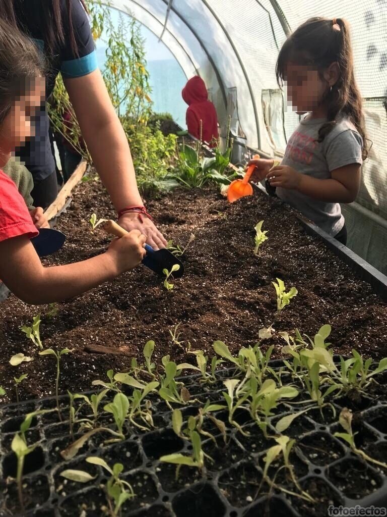 Sustainable education for childrens