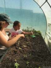 Working in the greenhouse