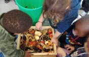 Sustainable education for childrens