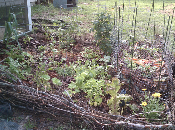 Help 20 million novice gardeners succeed worldwide