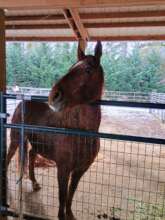 Princess - that we had to leave behind last time.