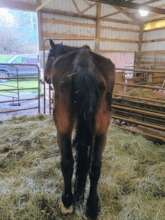 Clyde when we first met him