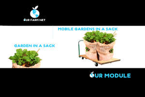 OUR Module