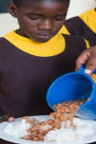 Provide Dairy Cows For Milk To Tanzanian orphans