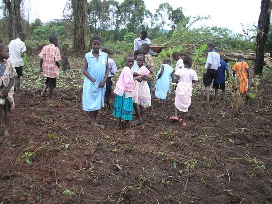 Improve Livelihood For Rural Farmers In Uganda GlobalGiving