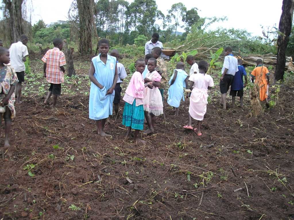 Improve livelihood for rural farmers in Uganda