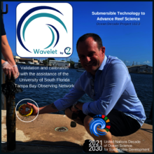2C Wavelet Ocean Sensors, tested against TBON!