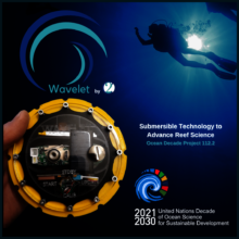 2C Wavelet - 3rd Generation Alpha-Test Sensor