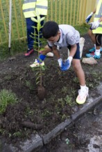 Siembra escolar Caguas