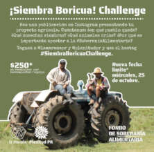 #SiembraBoricuaChallenge Instructions