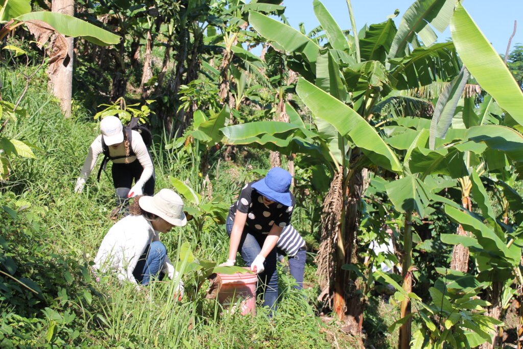 Puerto Rico's Food Sovereignty Fund