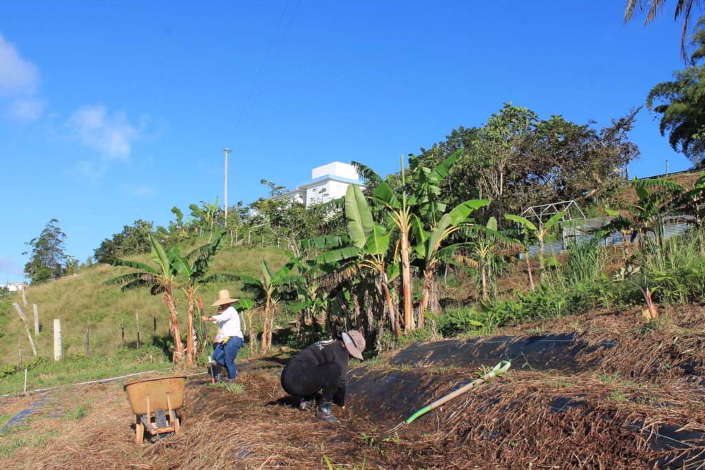 Puerto Rico's Food Sovereignty Fund