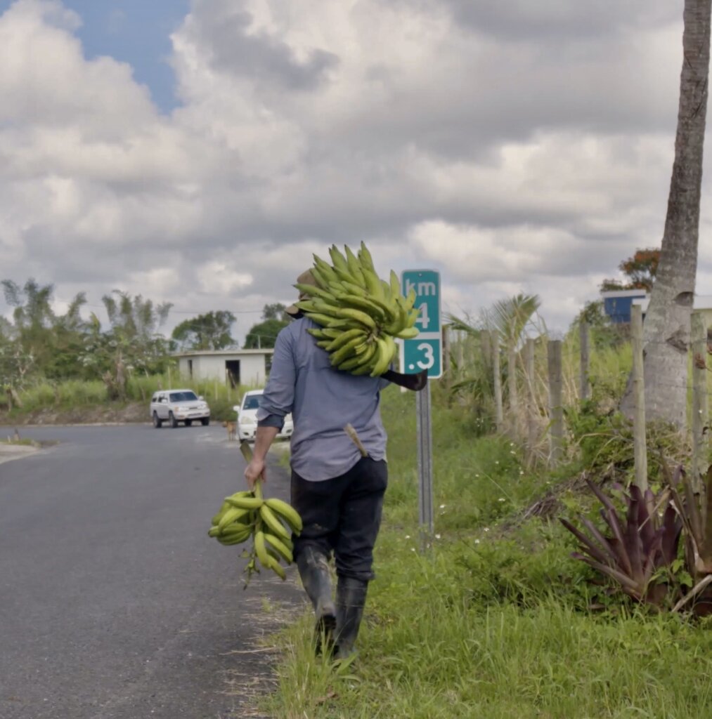 Puerto Rico's Food Sovereignty Fund