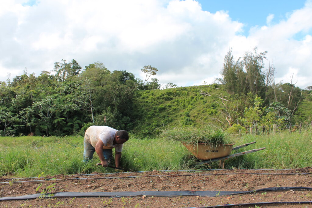 Puerto Rico's Food Sovereignty Fund