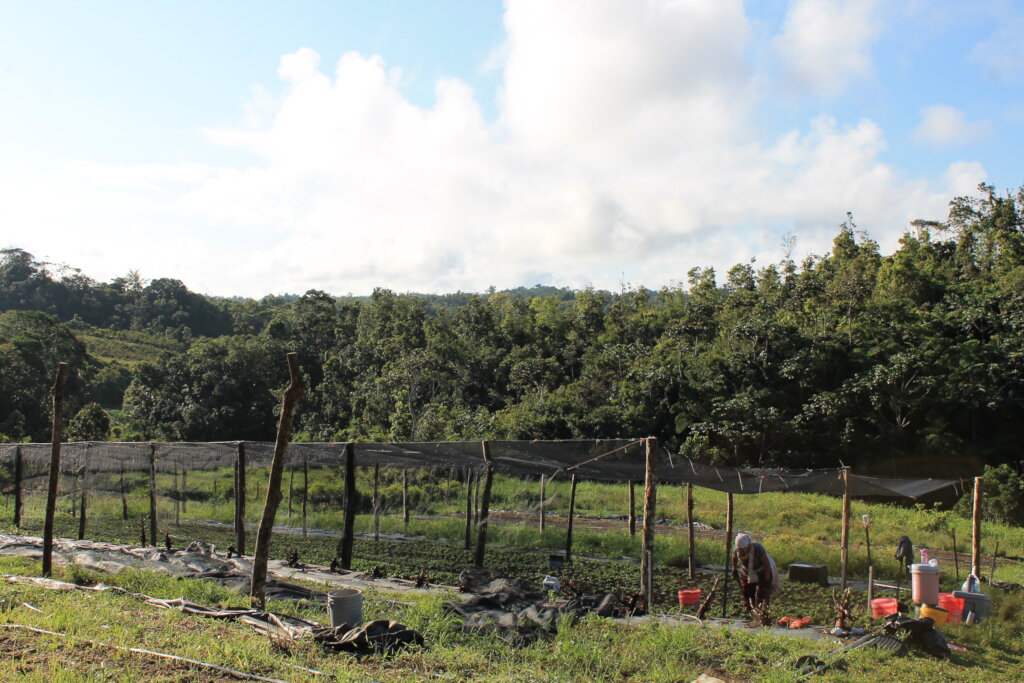 Puerto Rico's Food Sovereignty Fund