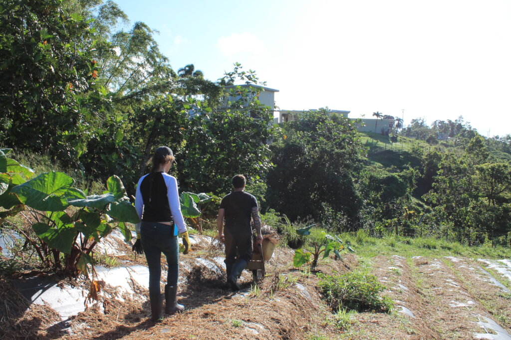 Puerto Rico's Food Sovereignty Fund