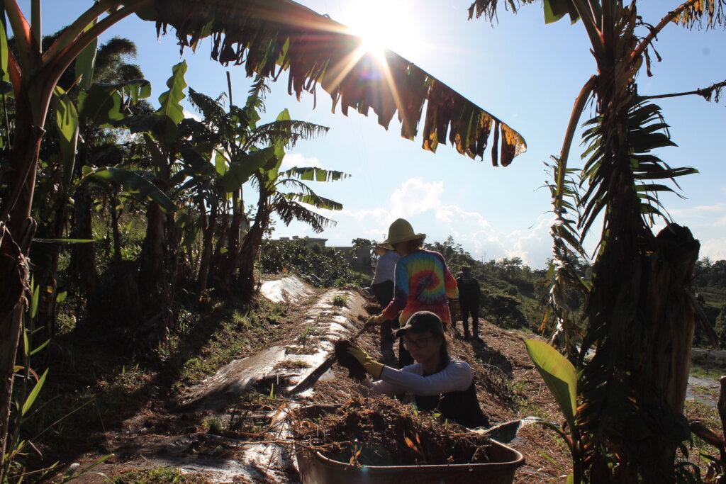 Puerto Rico's Food Sovereignty Fund