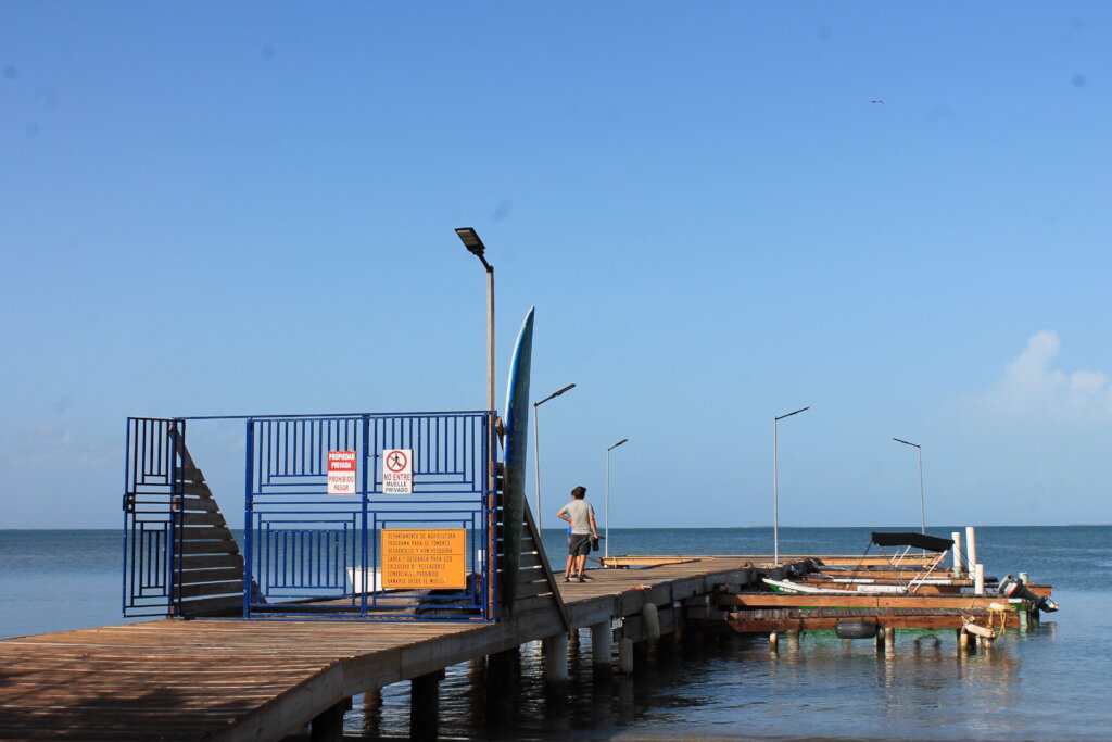 Puerto Rico's Food Sovereignty Fund