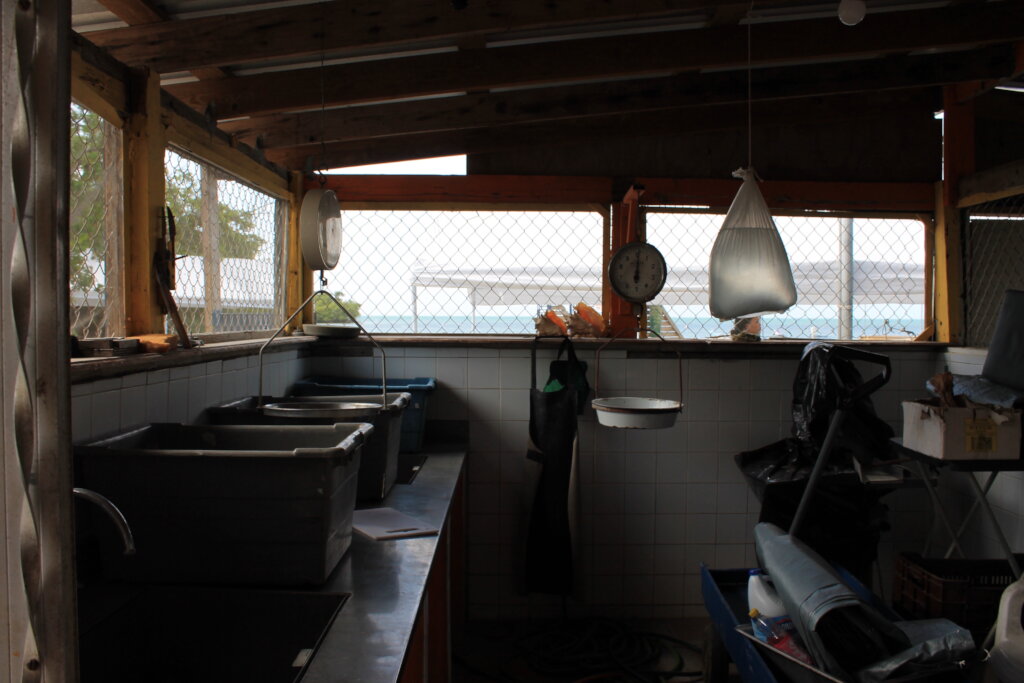 Puerto Rico's Food Sovereignty Fund