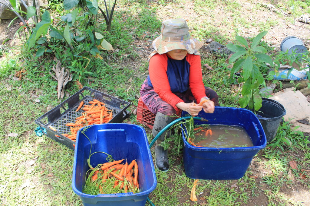 Puerto Rico's Food Sovereignty Fund