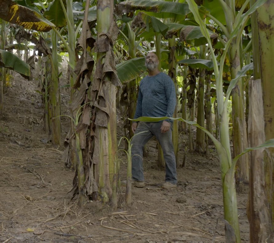 Puerto Rico's Food Sovereignty Fund