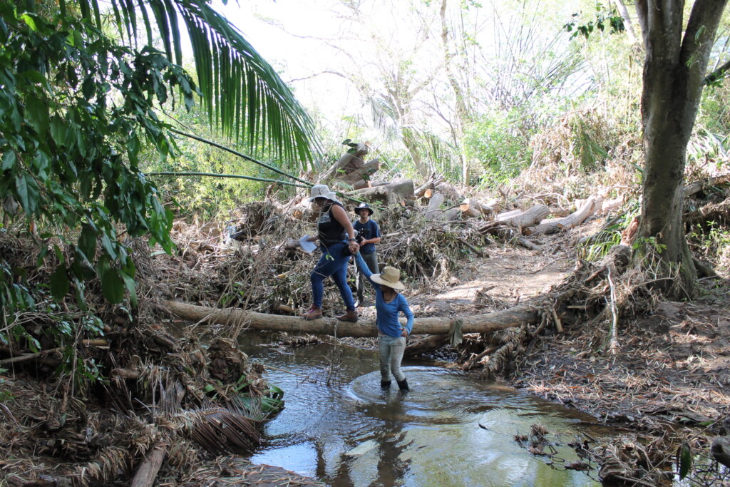Puerto Rico's Food Sovereignty Fund