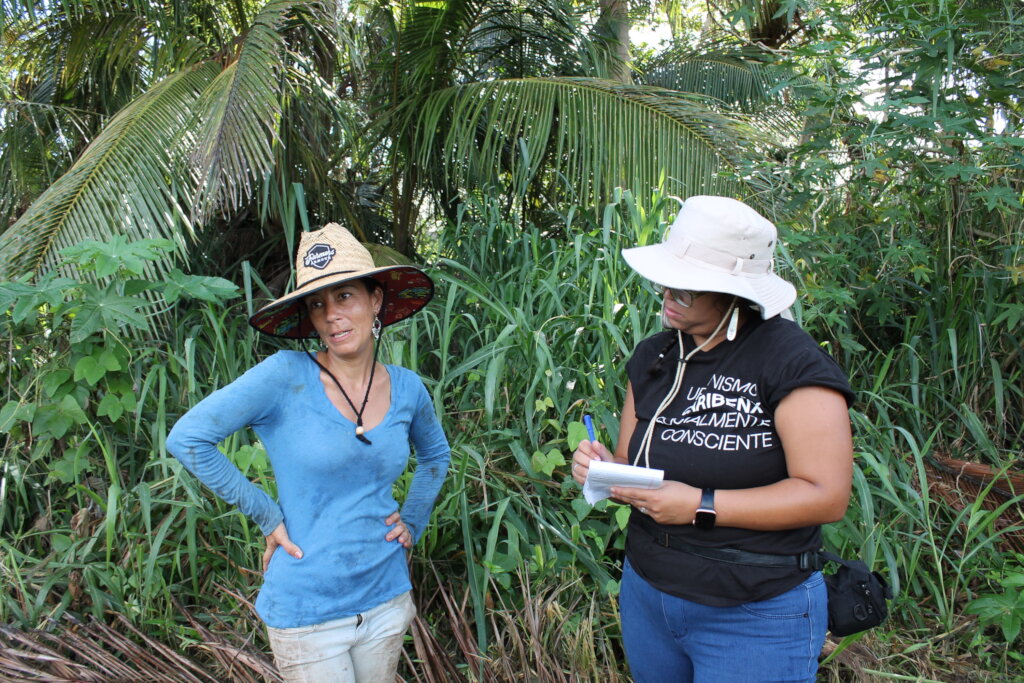 Puerto Rico's Food Sovereignty Fund