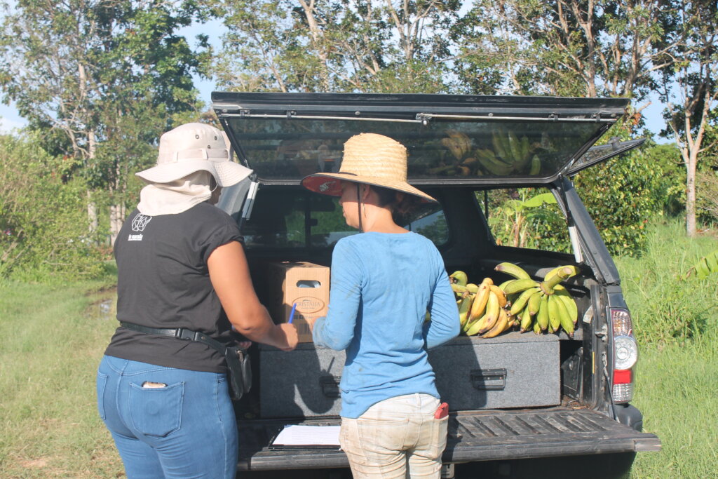 Puerto Rico's Food Sovereignty Fund