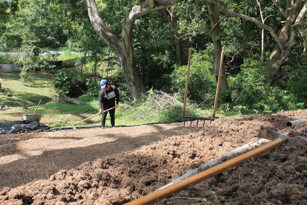 Puerto Rico's Food Sovereignty Fund