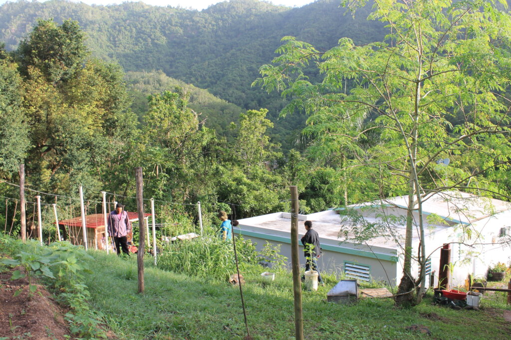 Puerto Rico's Food Sovereignty Fund