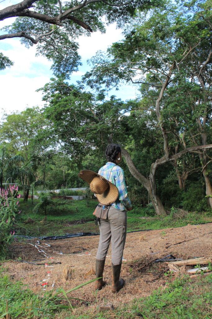 Puerto Rico's Food Sovereignty Fund