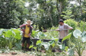 Puerto Rico's Food Sovereignty Fund