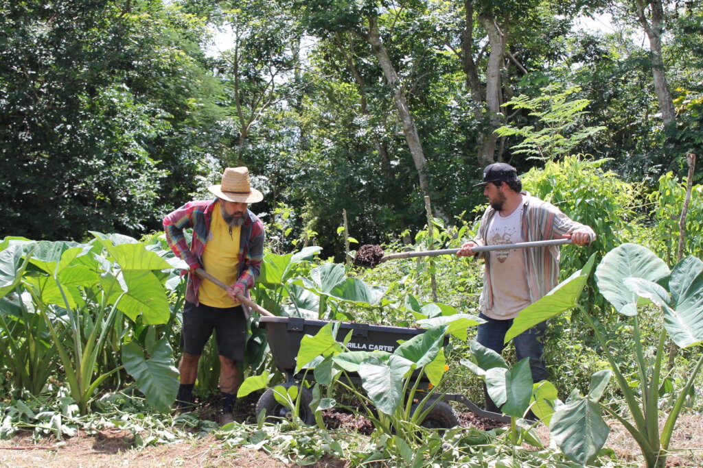 Puerto Rico's Food Sovereignty Fund