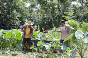 Puerto Rico's Food Sovereignty Fund