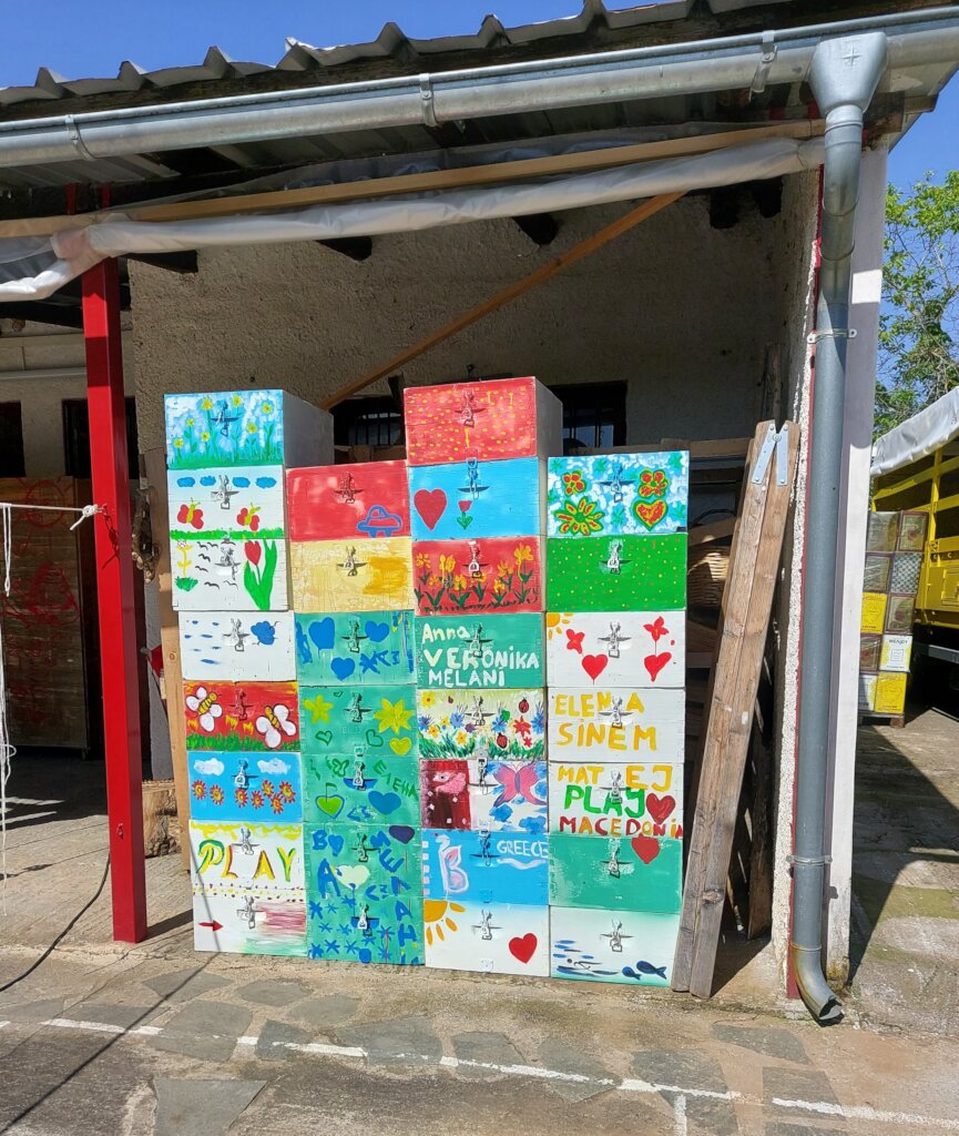 Queen Rearing: Save a Greek Bee