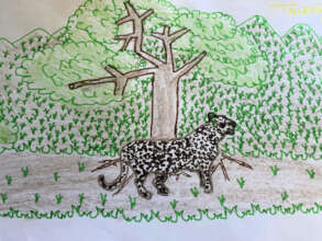 Young dancer's sketch of leopard protection lesson