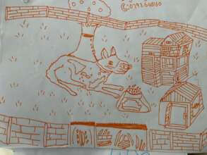 Providing humane care for their nguni dogs.