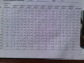 Data Sheet