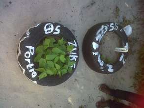 Soil analysis projects