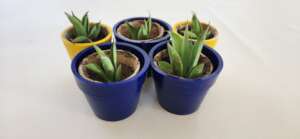 Blue wave flower pots